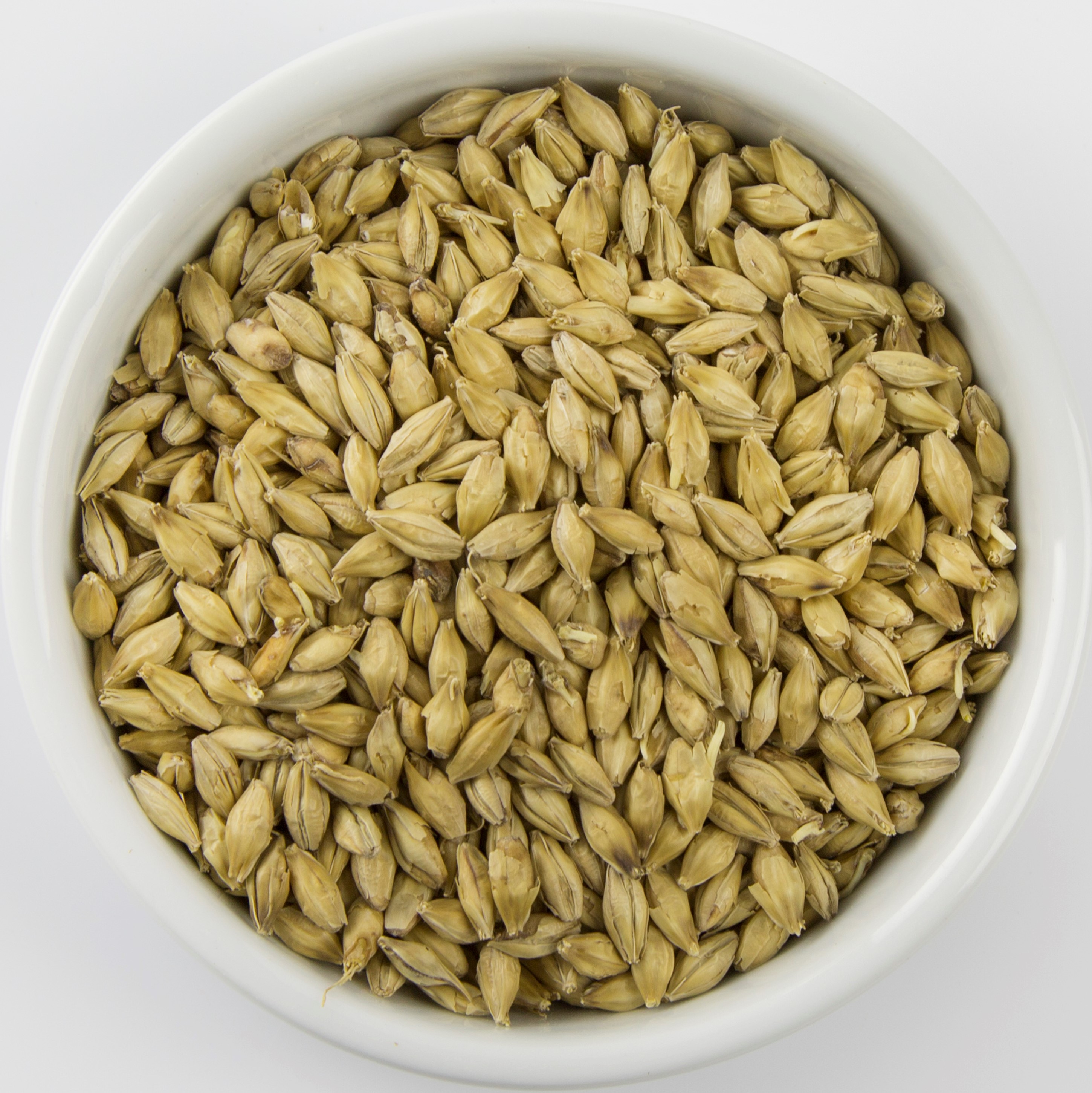 Barley Raw 2-Row - 50lb bag